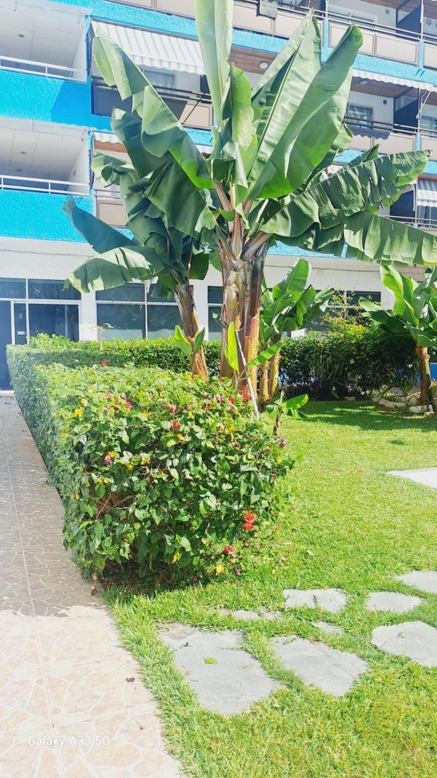 Estudio Playa Jardin Puerto de la Cruz  Dış mekan fotoğraf